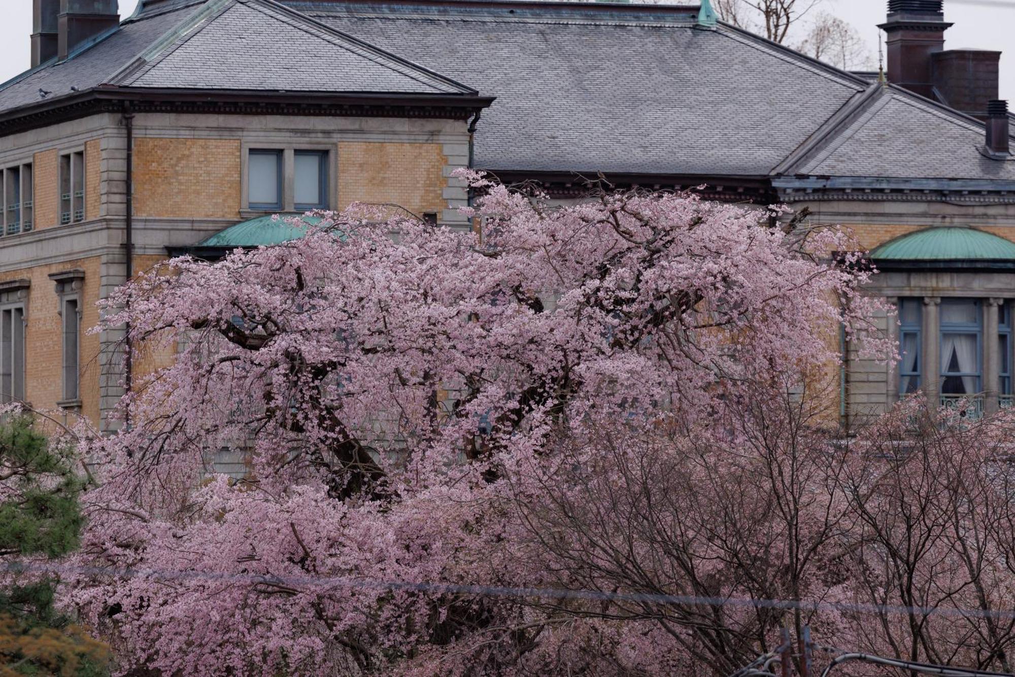 Hotel Chourakukan Kyoto Gion 長楽館 Екстер'єр фото
